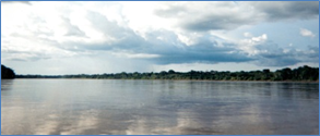 The Amazon
