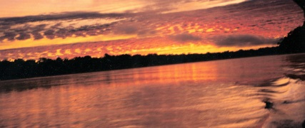 The Amazon