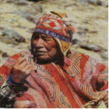 The Shamans
